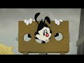 Animaniacs Reboot Los Warner Son Condenados HD Español Latino