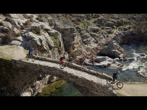 TREK Powerfly 4 gen 3