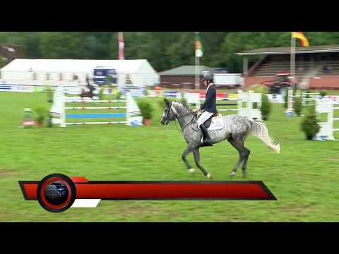 Holsteiner Verbandshengste | Turnierimpression - Zuccero Dorbock 2019