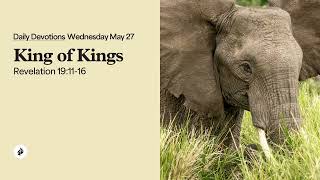 King of Kings – Daily Devotional
