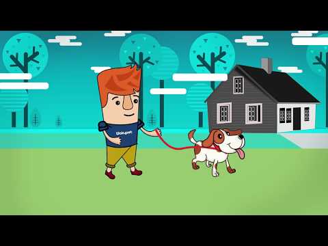 Wakypet - Paseadores de perros
