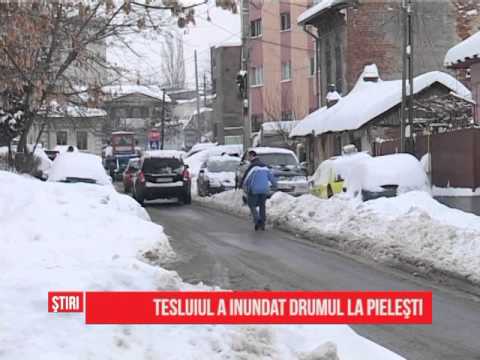 Tesluiul a inudat drumul la Pieleşti