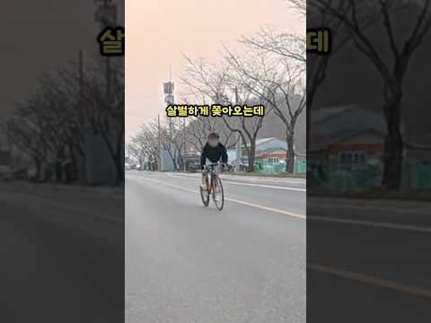 픽시타는 학생이 쫓아옴ㅋㅋㅋ