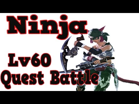 FFXIV Ninja Level 60 Quest Battle