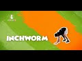 Inchworm With XFitKids Exercises For Kids