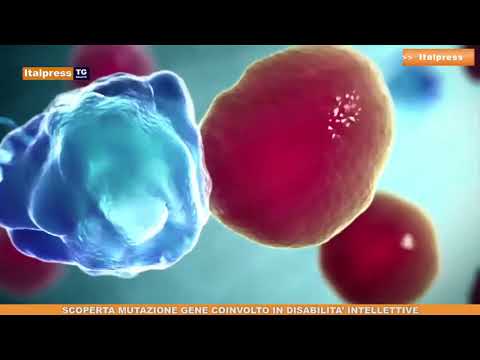 Tg Salute - 20/9/2019