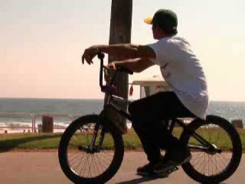 Dakota Roche Insight Video