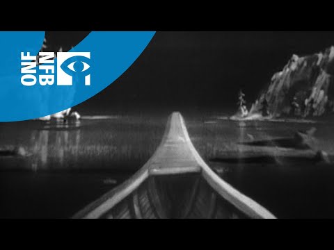 C'est l'aviron