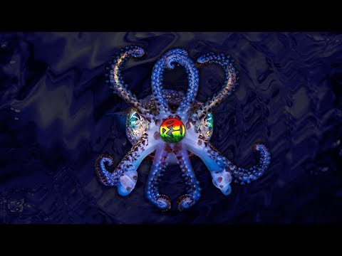 DJ Embryo - (2018-11-09) Deep Underwater Mix