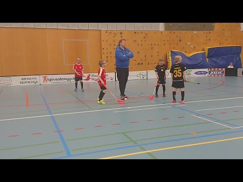 Apassit Punainen 2011 - SB Welhot Wings 30.3.2019