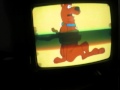 Revolta Changes Scooby Doo Into A Frog