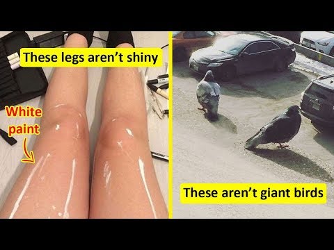 Look Twice To Understand What You Are Looking At