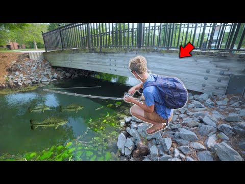 Fishing MICRO Ponds For GIANT Bass!