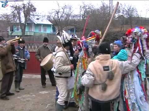 Capra de la Lipova 1 ianuarie 2014