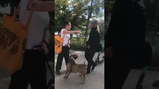 Yung Lean &amp; Bladee &amp; ECCO2K &amp; Cady &amp; Mechatok - Chilling outside