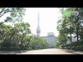 西田佐知子 コーヒー・ルンバ 歌詞 - 歌ネット - UTA-NET