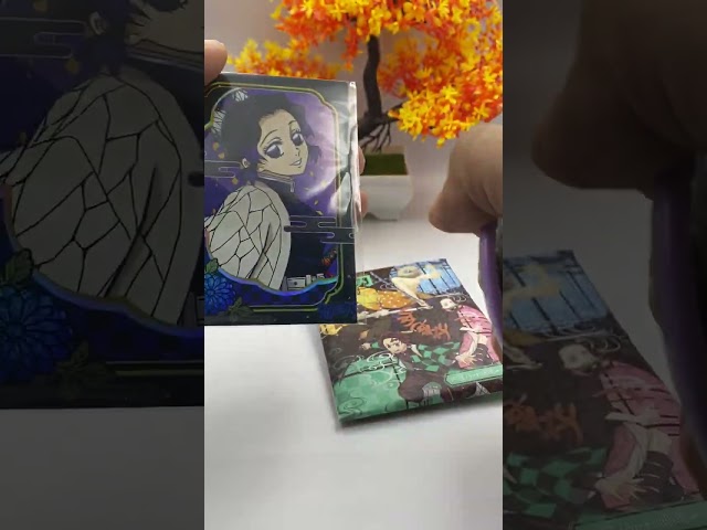 بكج قاتل الشياطين بروش + بطاقة