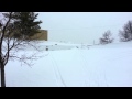 Snow Stampede