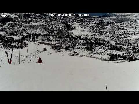 Kvamskogen - Furedalen Alpin Topp