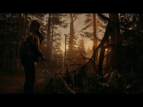 [live] - "Completismo incompleto" - Alan Wake 2 (blind run) #10