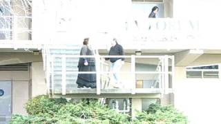 I Walk Alone - Green Day