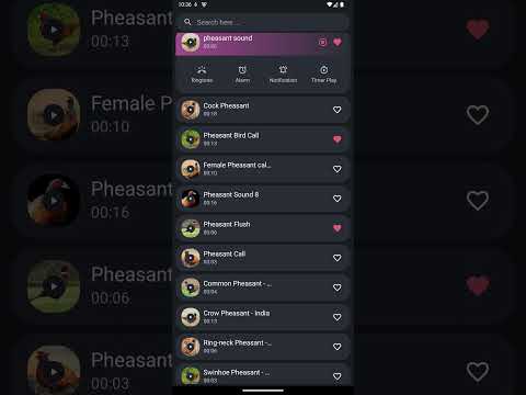 Pheasant Sounds Video