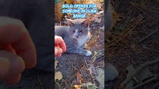 Download lagu Hey-I'm Die'n Inside! Please Respect My Suffer'n Pose😂 mp3 Download lagu Hey-I'm Die'n Inside! Please Respect My Suffer'n Pose😂 mp3