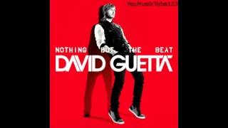 David Guetta feat Will.i.am - Nothing Really Matters