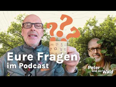 Wald aktuell: Tiere die Spaß empfiden, Wölfe melden und Holznutzung – eure Fragen und Zuschriften