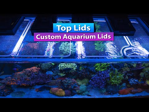 Top Lids  customs aquarium lids - Waterbox and Lagoon new tops!