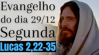Evangelho do dia com reflexão, Segunda-feira 29/12 Lc 2,22-35
