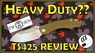 Review of the TwoSun TS425 - Is it as Heavy Duty as it LOOKS?? - RIHE Design