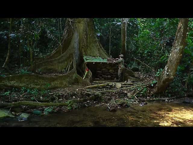 Full Video 300 days of Bushwalking. Survive in the rainforest. Build bushcraft shield.
