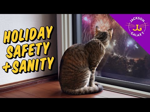 Keep your animal family safe & sane during fireworks and other holiday celebrations