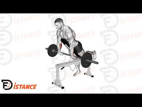 Exercice Curl de poignet sur banc incliné