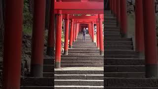 2026年7月15日