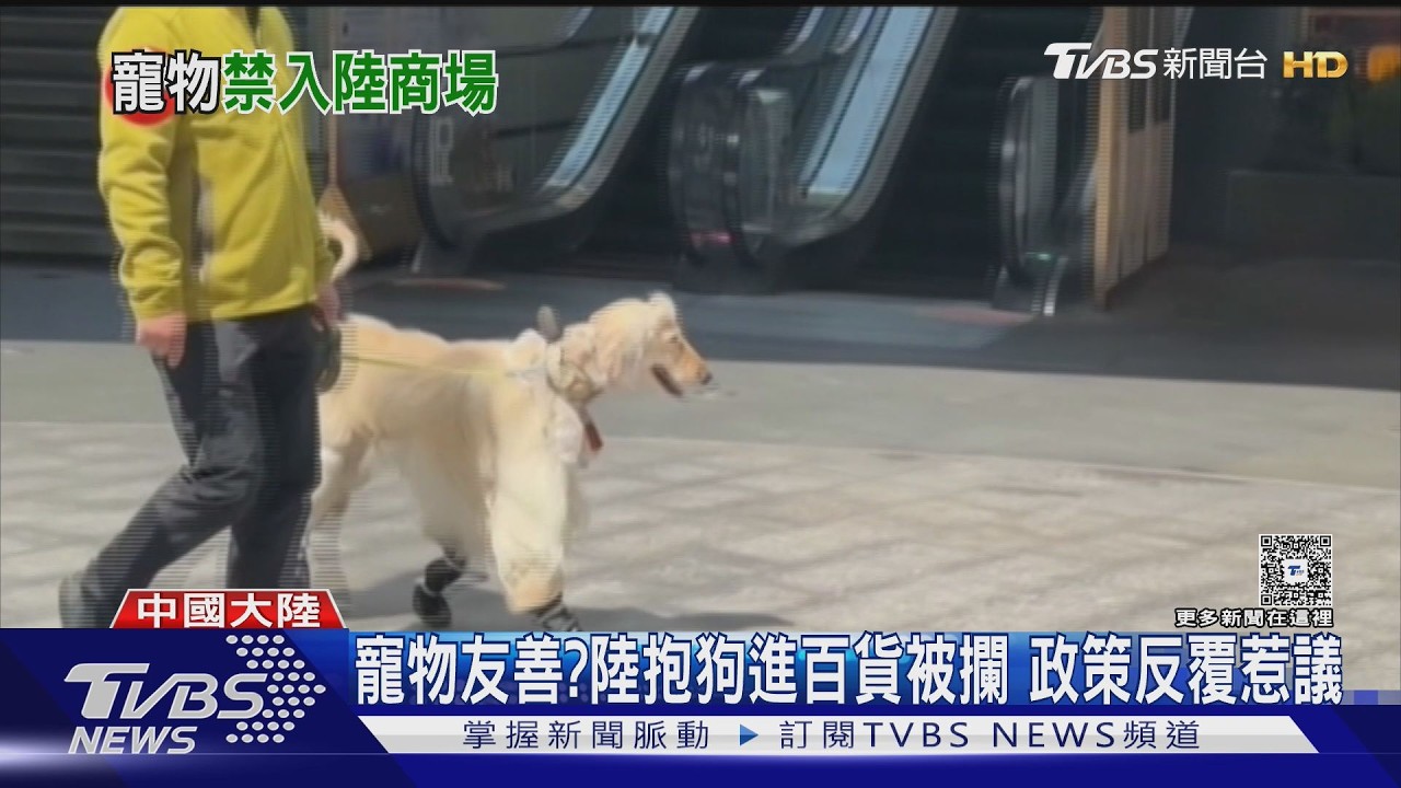 影音/寵物友善? 陸人「抱狗進百貨」被攔 政策反覆原因曝