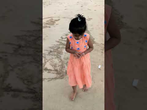 Surprise🎁 for Andaman baby from the 🌊Andaman sea beach🏖