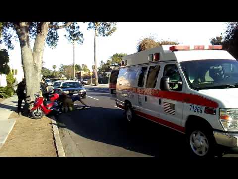 Downtown. Santa Barbara. Rode Into Tree