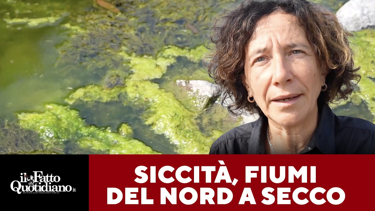 Spiagge di centinaia di metri, barche in secca: la siccità svuota fiumi e laghi del Nord