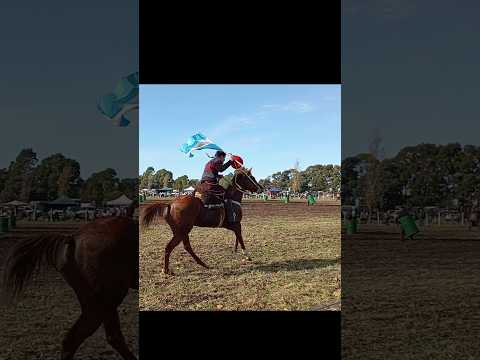 🛢️🐎"Yuna"Clásico Laprida 2025‼️#caballos #domador #horse