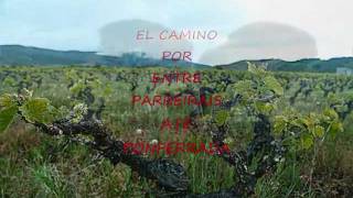 preview picture of video 'SCHMIDT A. CAMINHO MOLINASECA A VILLAFRANCA DEL BIERZO 24'