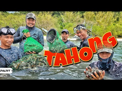 EP980-P1 - Tahong Forage and Cook
