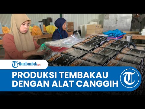 APHT Lombok Timur akan Dilengkapi Mesin Penguji Tar dan Nikotin, Telan Anggaran Rp4,5 Miliar