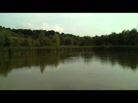 Mica delta de la Visani