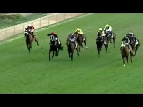 WOOLAVINGTON 2000 (Grade 1) 2013