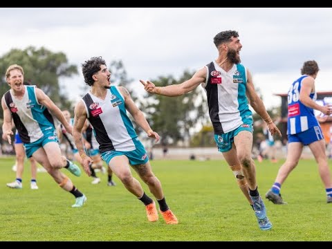 EDFL 2025 Men's Division One Grand Final Highlights - Oak Park v Hillside