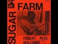 Robert Pete Williams - The New Talking Blues Of Angola