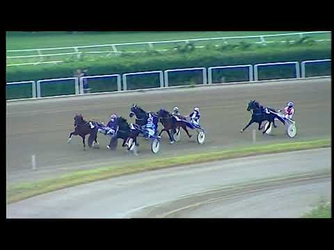 Napoli Trotto 16/07/2021 - 2ª corsa