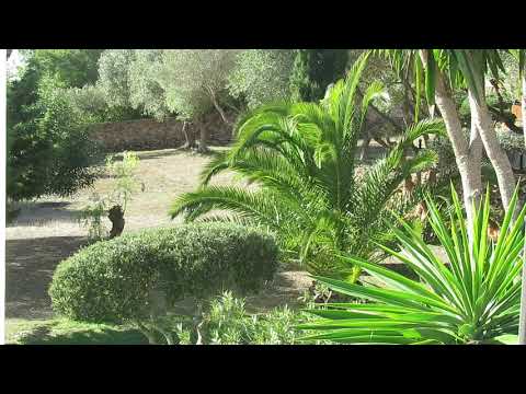 Neu von uns: Uli's Coaching zum Thema "Karma - Das Gesetz von Ursache und Wirkung verstehen"